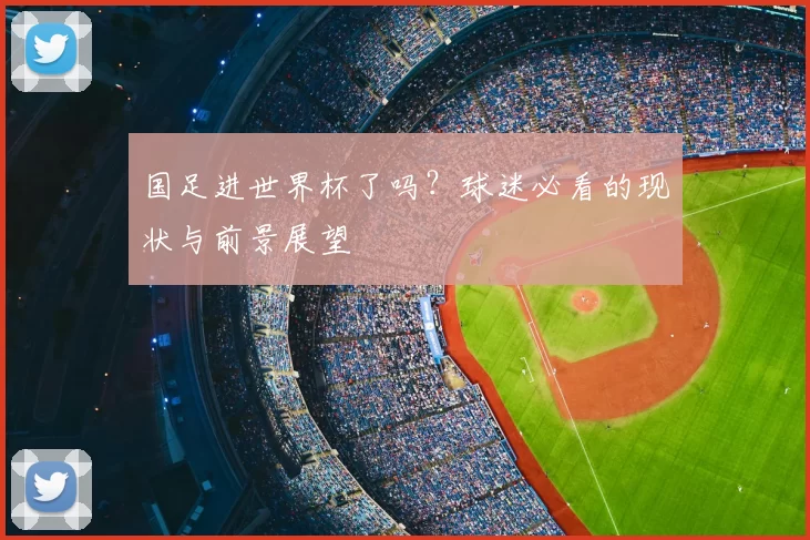 国足进世界杯了吗？球迷必看的现状与前景展望