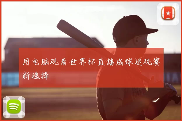 用电脑观看世界杯直播成球迷观赛新选择