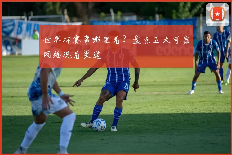世界杯赛事哪里看?盘点五大可靠网络观看渠道