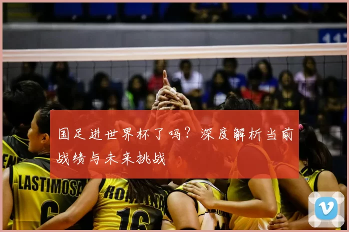 国足进世界杯了吗?深度解析当前战绩与未来挑战