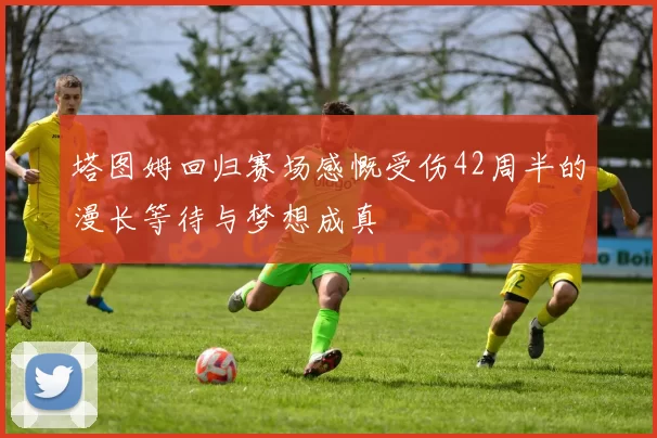 塔图姆回归赛场感慨受伤42周半的漫长等待与梦想成真