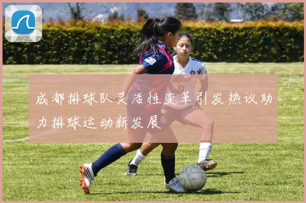 成都排球队灵活性变革引发热议助力排球运动新发展