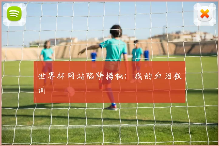 世界杯网站陷阱揭秘:我的血泪教训