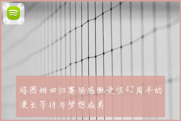 塔图姆回归赛场感慨受伤42周半的漫长等待与梦想成真