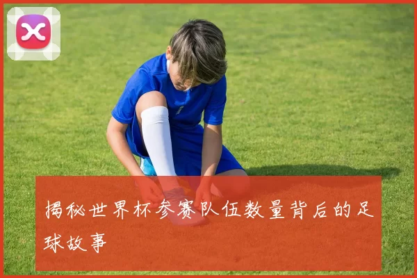 揭秘世界杯参赛队伍数量背后的足球故事