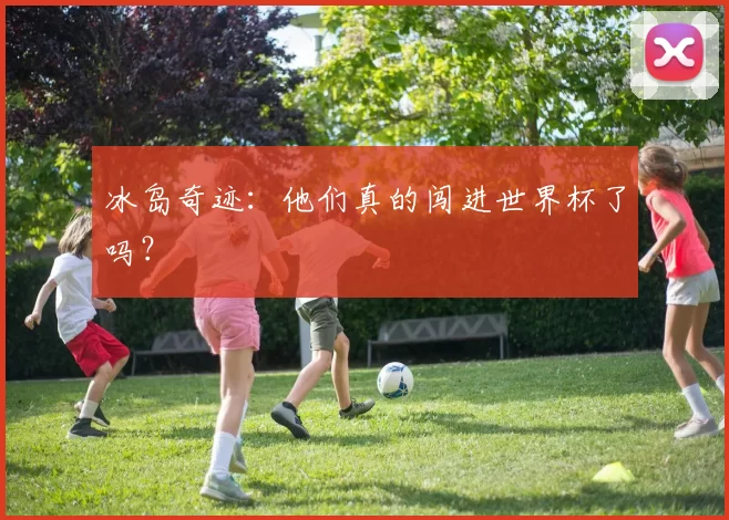 冰岛奇迹:他们真的闯进世界杯了吗?