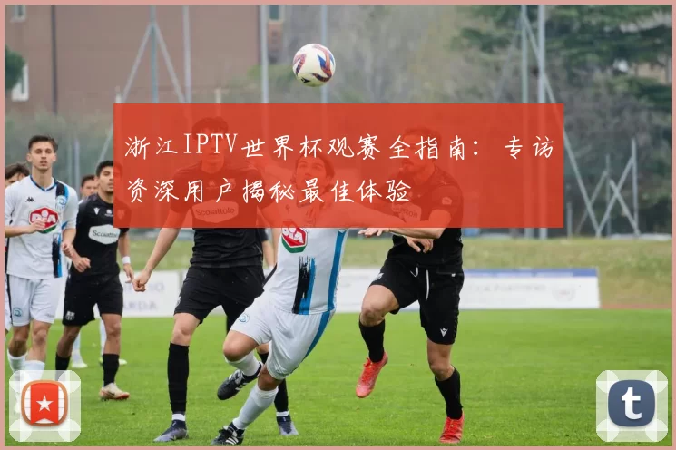 浙江IPTV世界杯观赛全指南：专访资深用户揭秘最佳体验