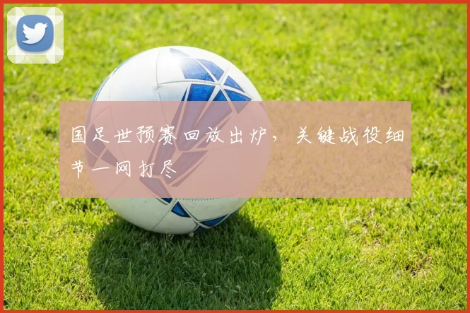 国足世预赛回放出炉，关键战役细节一网打尽