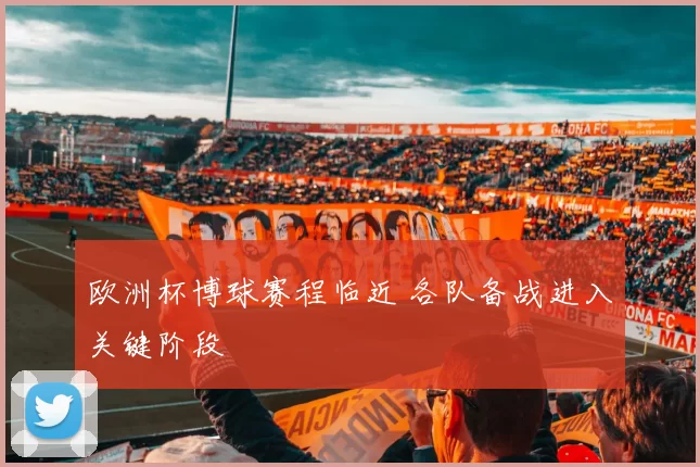 欧洲杯博球赛程临近 各队备战进入关键阶段