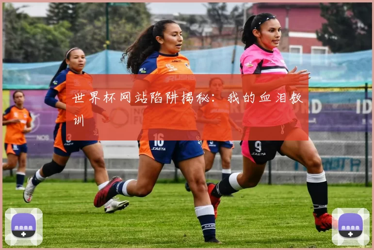 世界杯网站陷阱揭秘:我的血泪教训