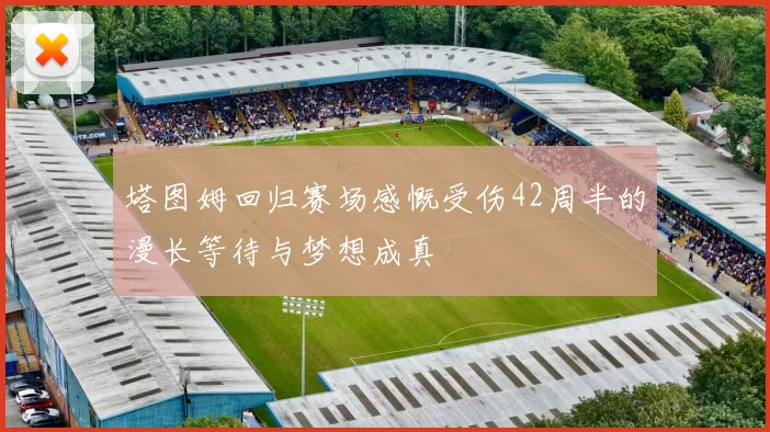 塔图姆回归赛场感慨受伤42周半的漫长等待与梦想成真